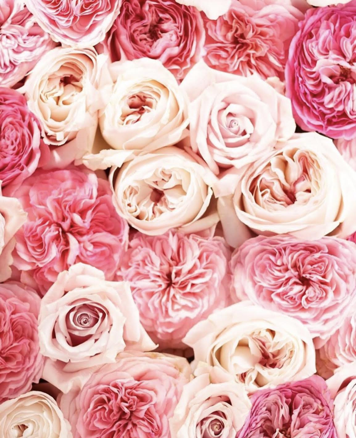 ROSE SKINCARE