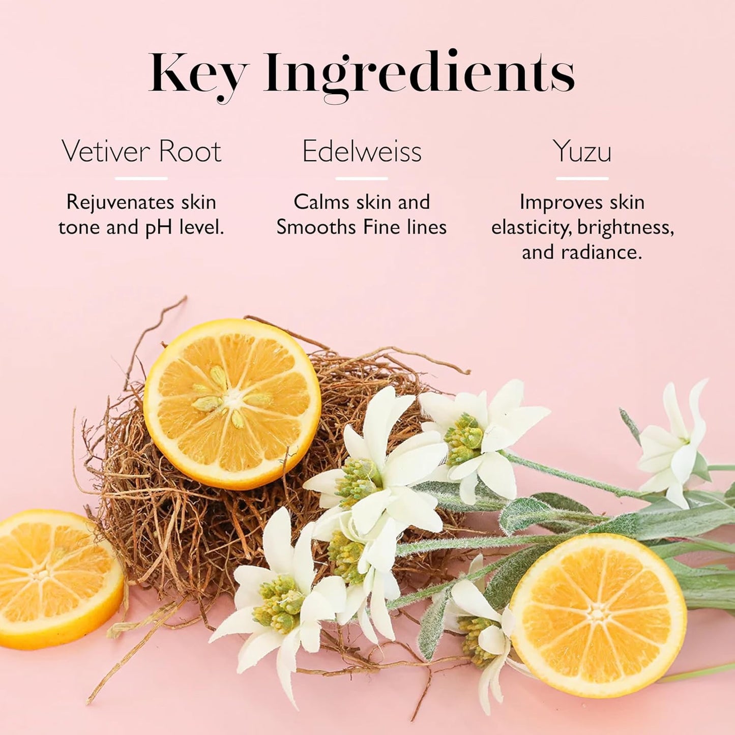 Spongelle Coconut Verbena Pedi Buffer